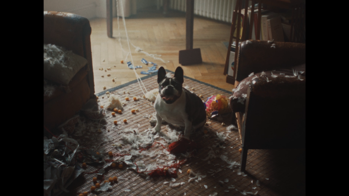 La SPA – #StopAbandon