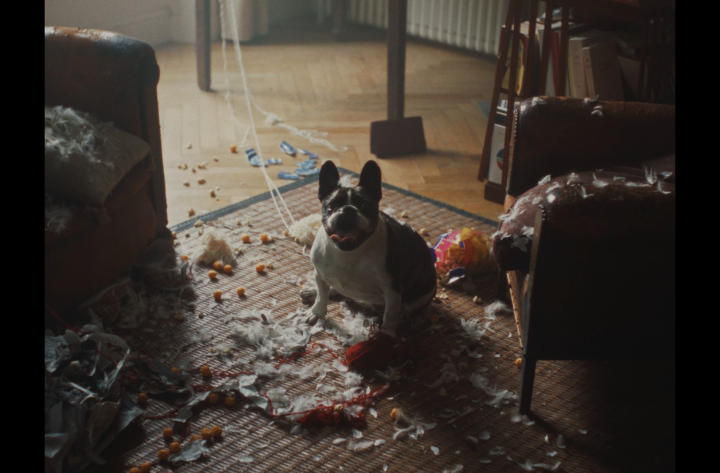 La SPA – #StopAbandon