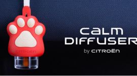 CALM DIFFUSER