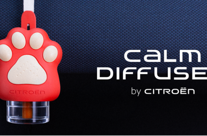 CALM DIFFUSER
