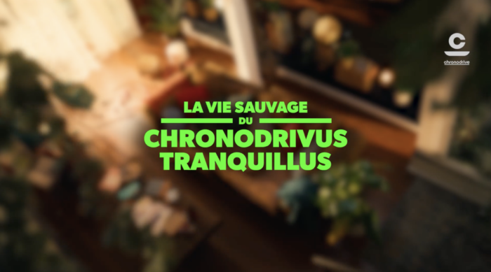 La vie sauvage du Chronodrivus Tranquillus