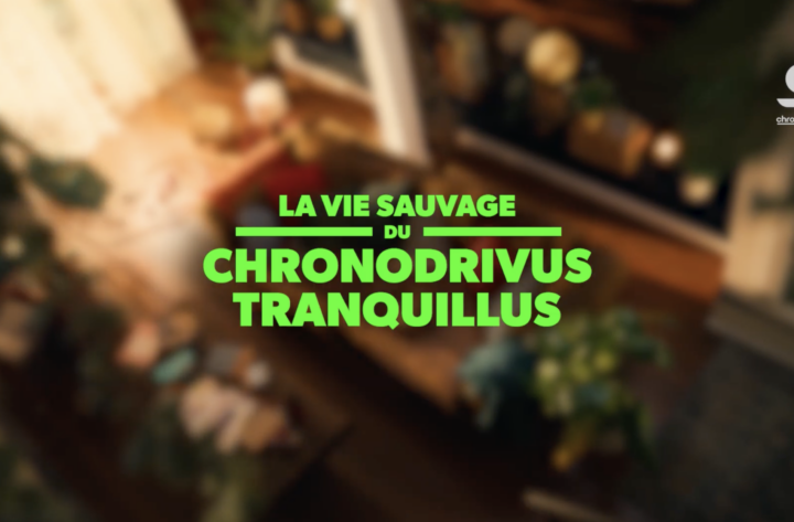 La vie sauvage du Chronodrivus Tranquillus