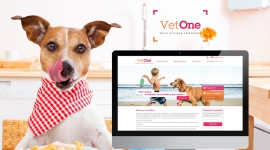 Branding et site internet