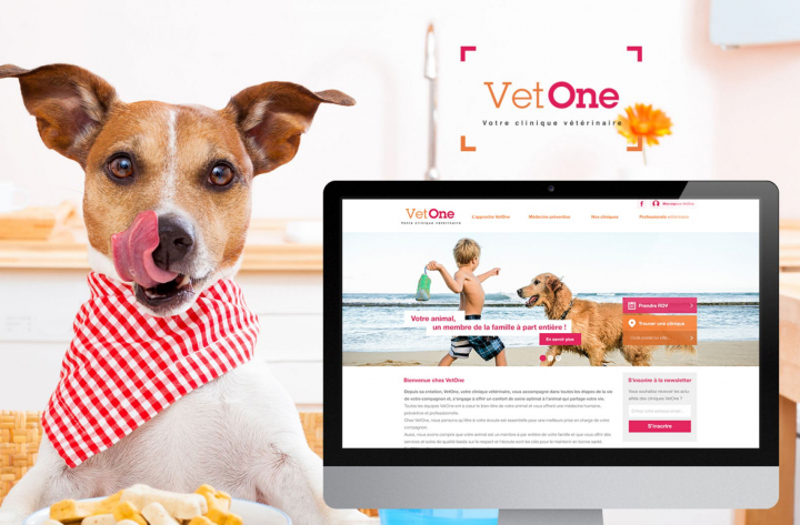 Branding et site internet