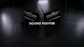 Sound Fighter