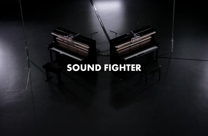 Sound Fighter