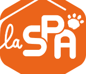 S’engager pour de grandes causes
