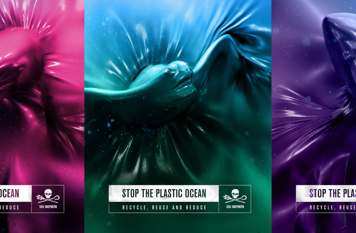 Plastic Ocean – Digital