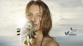 Takoon : Seagull
