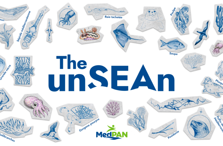 The UnSEAn