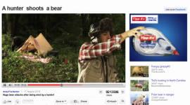 A hunter shoots a bear