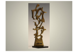 TOP COM de bronze 2013, dans la catégorie stratégie de communication B to B