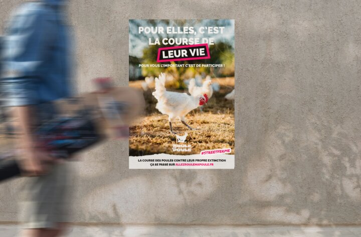 POP FOR YOU LANCE ROULE MA POULE