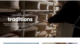 Site web