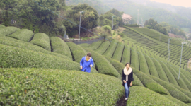 Partez avec Ushuaïa à la découverte des rituels de beauté et traditions du Japon