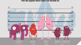 #FreeYourOrgans – Pour des organes libres d&rsquo;avoir une seconde vie.