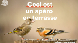 Activation digitale