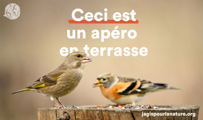 Activation digitale