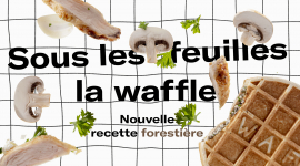 Les activations, c&rsquo;est comme les gaufres : c&rsquo;est mieux quand c&rsquo;est de saison