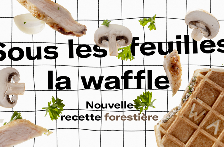 Les activations, c&rsquo;est comme les gaufres : c&rsquo;est mieux quand c&rsquo;est de saison