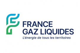 FRANCE GAZ LIQUIDES CHOISIT WNP